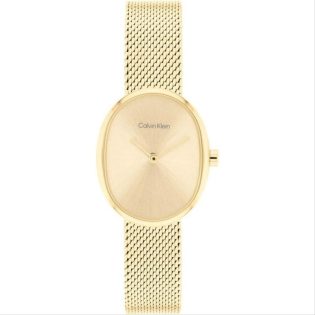 Women's Wristwatch 23mm CALVIN KLEIN made of stainless steel in gold color 448875